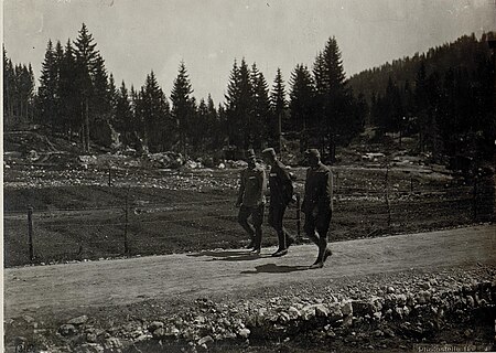 Field Marshal Conrad v.Hötzendorf at the VI Corps command with army commander Count Scheuchenstuel., May 1918
