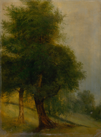 Trees on a Slope, Jozef Božetech Klemens, 1870