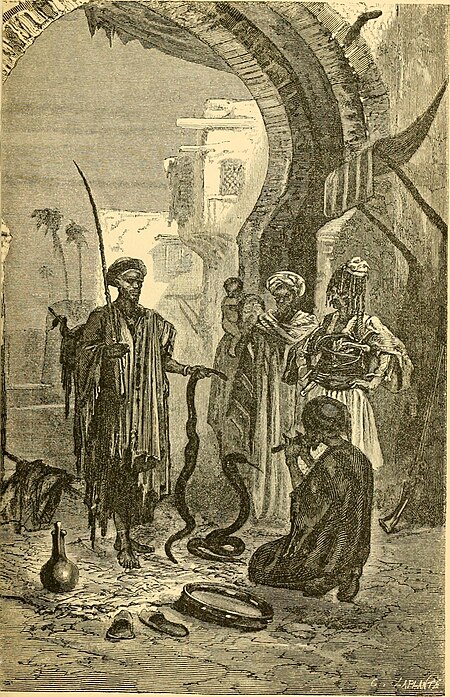 Reptiles and birds - a popular account of the various orders; with a description of the habits and economy of the most interesting (1869) (14745580001), 1869