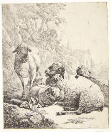 One standing and four lying sheep, Johann Heinrich Roos