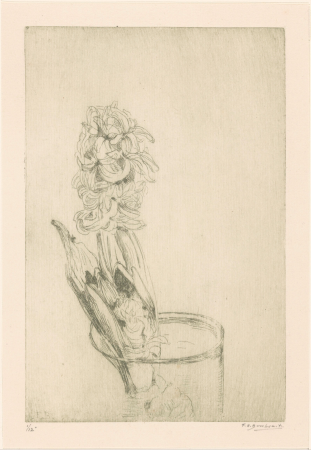 Hyacint in glazen vaas, RP-P-1931-449, between 1885 and 1931
