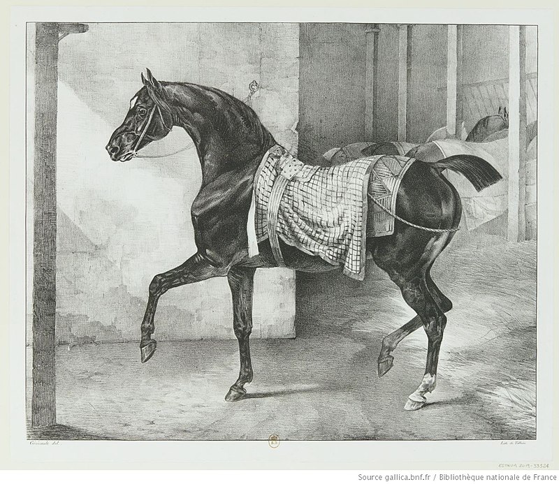 Géricault - Cheval noir attaché dans une écurie, btv1b100284781, Théodore Géricault