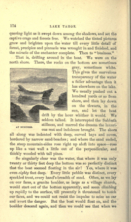 Roughing It, True Williams