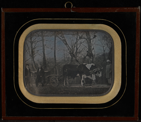 [Jean-Gabriel Eynard with two servants and an ox-drawn wagon], about 1850