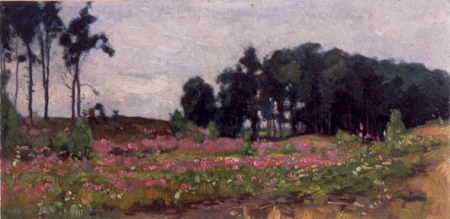 Open forest landscape with blooming willowherbs, Paul Bodifée, between 1910 and 1920