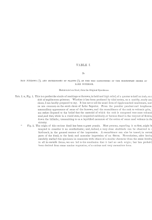 Report of a geological survey of Wisconsin, Iowa, and Minnesota; and incidentally of a portion of Nebraska Territory. Made under instructions from the United States Treasury department (1852) (17938992765)