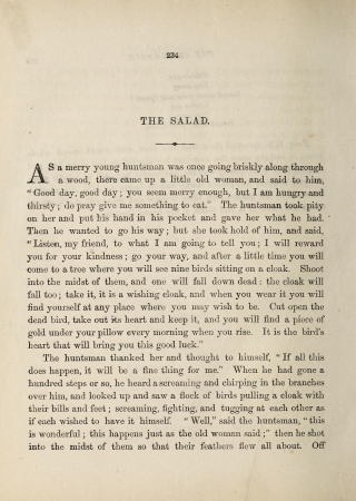 Grimm's Goblins-1877-0304