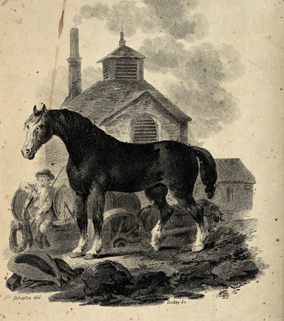 A dray horse standing in front of the dray with the drayman, Julius Caesar Ibbetson