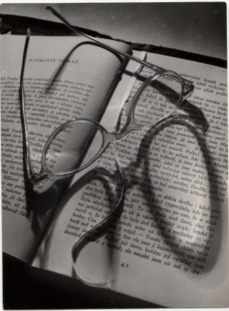 Mamincinposlednipribeh, Karel Čapek