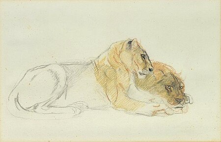 Study of Two Lionesses, John Macallan Swan, 1900-1910