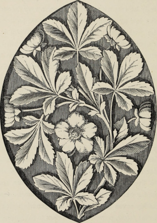 Art-studies from nature, as applied to design - for the use of architects, designers, and manufacturers (1872) (14780129325)