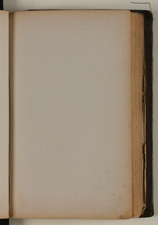 Blank, Niels Larsen Stevns