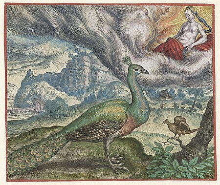 Fable of the Peacock and the Nightingale, Marcus Gheeraerts the Elder, 1567; 1567