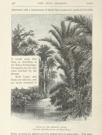 Image taken from page 292 of 'The Cruise of the Marchesa ... With maps and ... woodcuts drawn by J. Keulemans, C. Whymper and others ... Second edition' (11202180664)