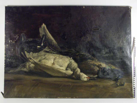 Still life with dead peacock and swan., Johan Ernst Bäumer, between 1890 and 1919