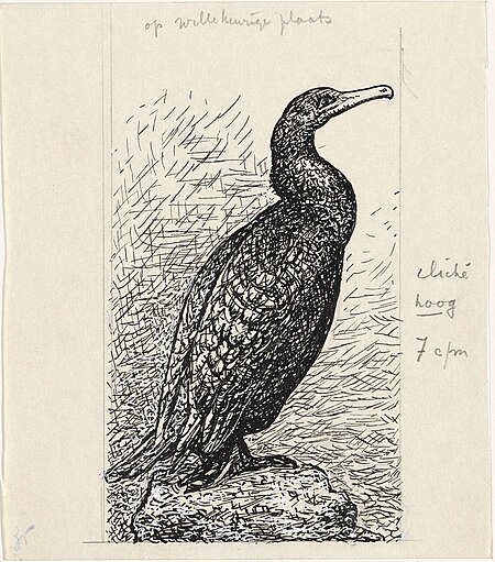 Design book illustration for Alexander Cohen's From Anarchy to Monarchy: Cormorant, Leo Gestel