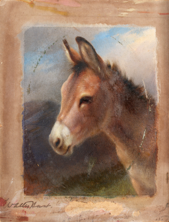 Head study of a donkey, Walter Hunt