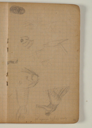 Figure and face sketches, as well as notes, Niels Larsen Stevns, 1906