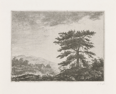 Boom in een heidelandschap, RP-P-1885-A-8474, between 1811 and 1867