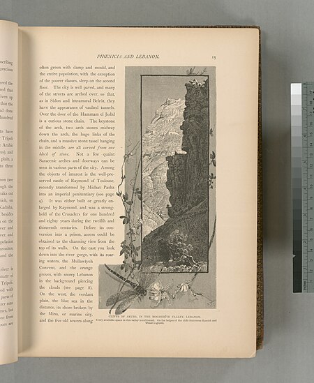 Cliffs of Akura, in the Mogherîye valley, Lebanon. Every available space in the valley is cultivated. On the ledges of the cliffs fruit-trees flourish and wheat is grown., 1881