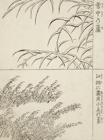 Reeds in Snow, Tachibana Morikuni, circa 1740