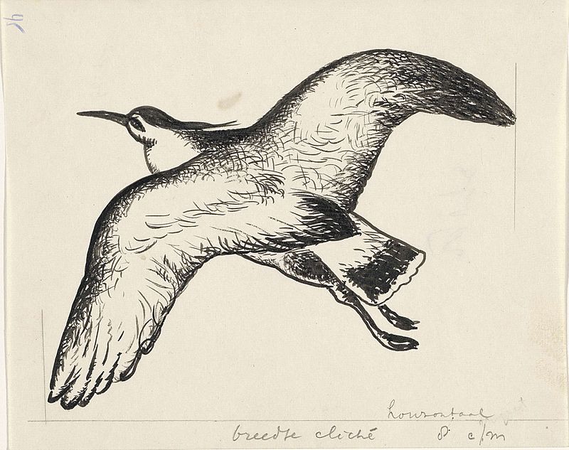 Design book illustration for Alexander Cohen's From Anarchy to Monarchy: Seagull (?), Leo Gestel