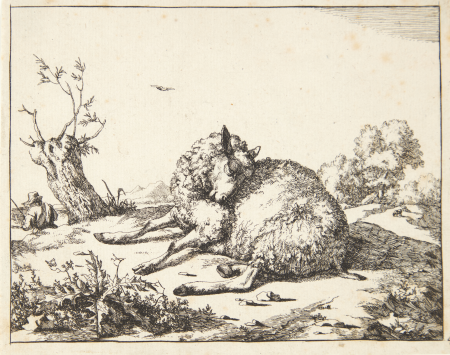 Recumbent sheep, head turned towards the shoulder, Marcus de Bye, 1664