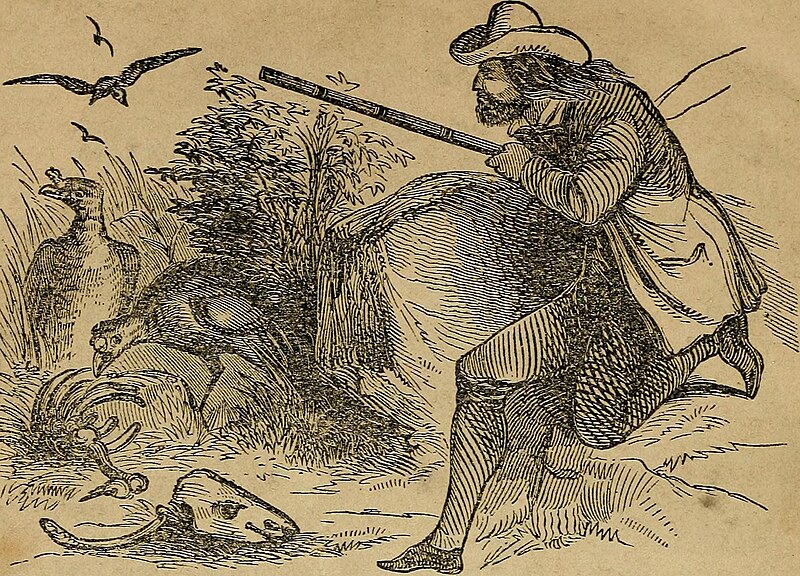 The Crockett almanac - containing sprees and scrapes in the West; life and manners in the backwoods, and exploits and adventures on the praries (1852) (14780841622)