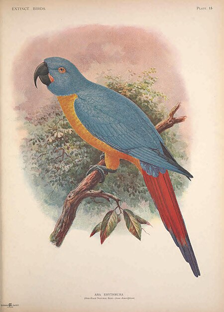 Extinct birds - an attempt to unite in one volume a short account of those birds which have become extinct in historical times - that is, within the last six or seven hundred years - to which are (14729527156), 1907