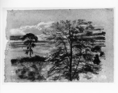 Trees and Fields, Arthur Bowen Davies