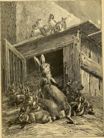 Ridpath's history of the world; being an account of the ethnic origin, primitive estate, early migrations, social conditions and present promise of the principal families of men (1897) (14803284063), Hector Giacomelli