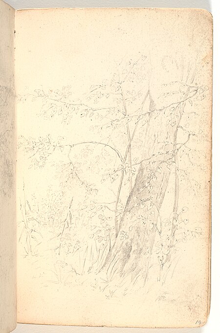 Scratch of scrub, trees and tree trunk, Martinus Rørbye