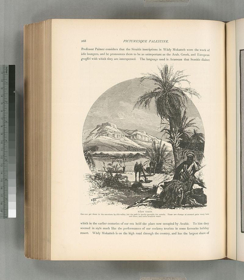 Wâdy Useit. One can go down to the sea-shore by this valley, but the path is hardly passable for camels. There are clumps of stunted palms every here and there, and some brackish water., 1881