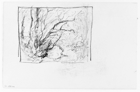 Trees in Wood (from Sketchbook), Henry Ward Ranger