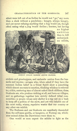 Roughing It, True Williams