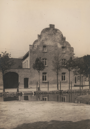 5974736.Erwin Quedenfeldt, 1915