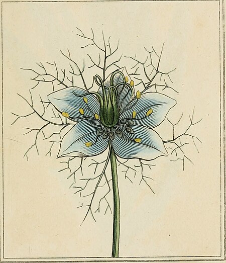 Elements of the science of botany, as established by Linnaeus; with examples to illustrate the classes and orders of his system (1812) (21265022515)