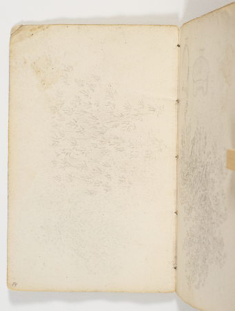 Studier af løvværk, Martinus Rørbye