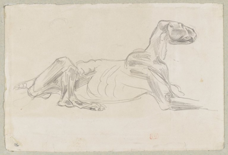 Delacroix - Etude d'un lion écorché, RF 9694, Recto, Eugène Delacroix