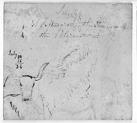 Mathmatical Computaions; Sketch of a Steer; Partial Unidentified Text (from Sketchbook), James McNeill Whistler, 1854–55