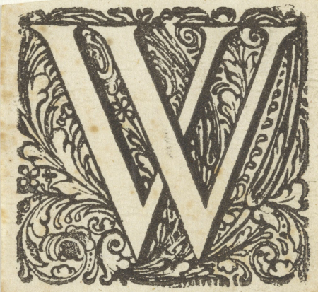 Letter W in een geornamenteerde omlijsting, RP-P-BI-4363.jpg, RP-P-BI-4363, Dirck de Bray, between 1600 and 1699
