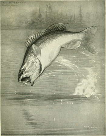 Fisherman's lures and game-fish food - with colored pictures from life of various creatures fish eat and new improved artificial imitation floating nature lures and chart-plans to show the haunts (14579477587), 1920