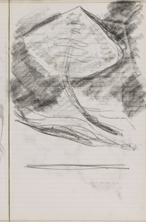 Pijlstaartrog, RP-T-1969-884-73(R), Gerrit Willem Dijsselhof, circa 1901