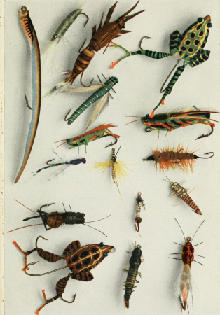 Fisherman's lures and game-fish food - with colored pictures from life of various creatures fish eat and new improved artificial imitation floating nature lures and chart-plans to show the haunts (14579308599), 1920