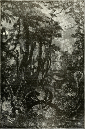 Ridpath's Universal history - an account of the origin, primitive condition and ethnic development of the great races of mankind, and of the principal events in the evolution and progress of the (14583799460), Édouard Riou, 1897