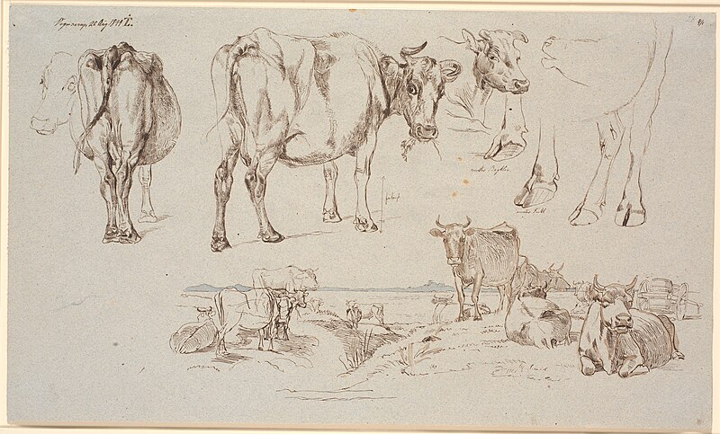 Study magazine from Vognserup. Above studies of cows, f.n. landscape with standing and lying cows, Johan Lundbye, 1844