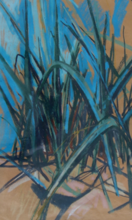 Dünengrass-DB, Dora Bromberger, between 1920 and 1930