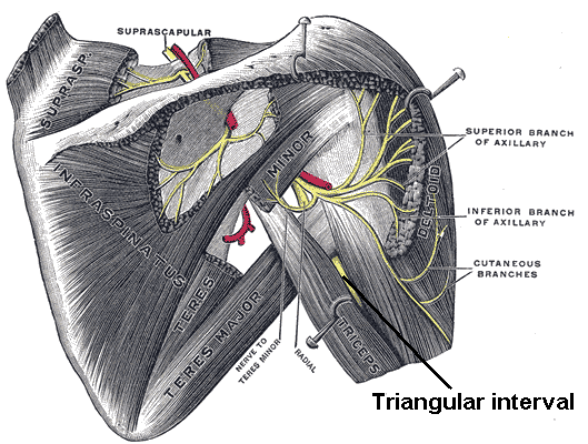 Triangular interval