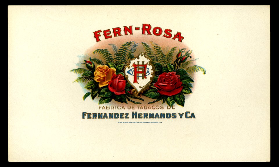 Fern-Rosa
