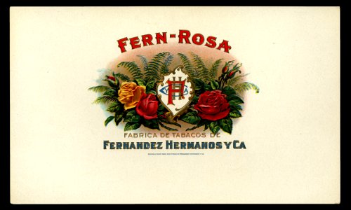 Fern-Rosa